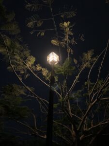 img 4189